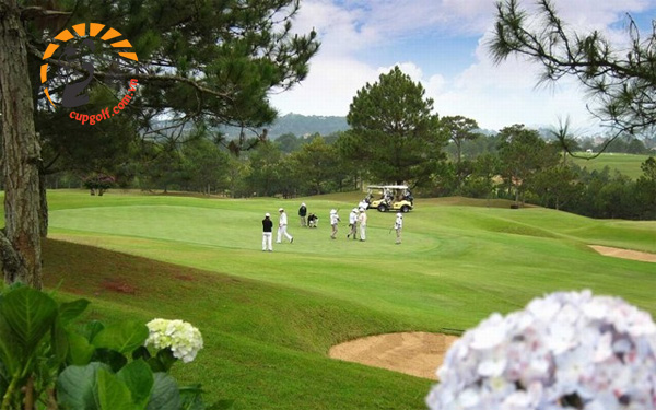 Sân golf thường xuyên đông người chơi vào cuối tuần
